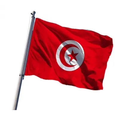 Tunus Bayrakları 