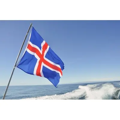 İzlanda Devlet Gönder Bayrağı 70x105