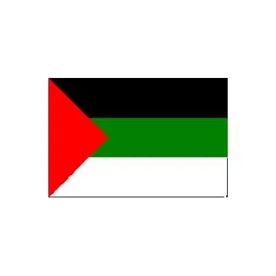 Filistin Bayrağı (30x45 cm)
