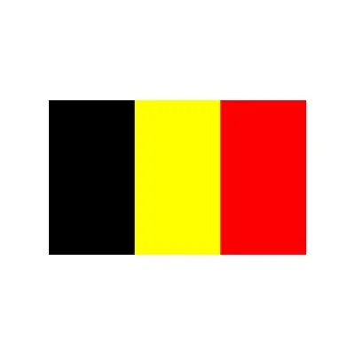 Belçika Bayrağı (30x45 cm)