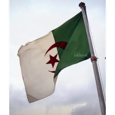 Cezayir Devleti Gönder Bayrağı 100x150