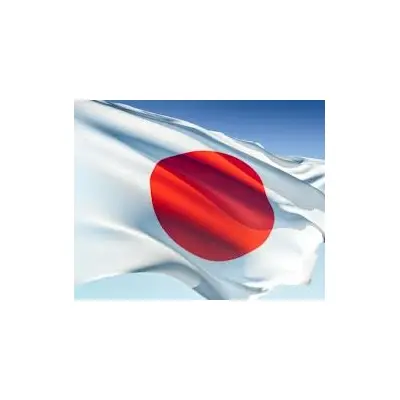 Japonya Bayrağı (50x75 cm)