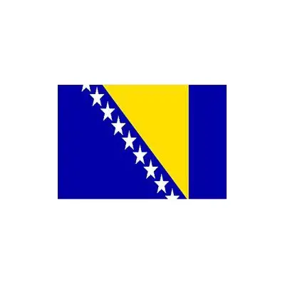 Bosna hersek Bayrağı (30x45 cm)