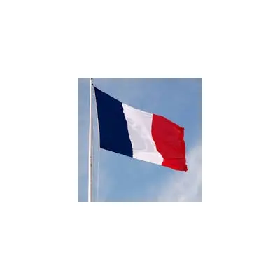 Fransa Devleti Gönder Bayrağı 100x150