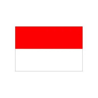 Endonezya Bayrağı (30x45 cm)
