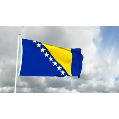 Bosna Hersek Bayrağı (50x75 cm)