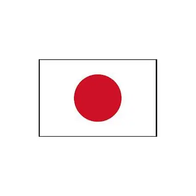 Japonya Bayrağı (30x45 cm)