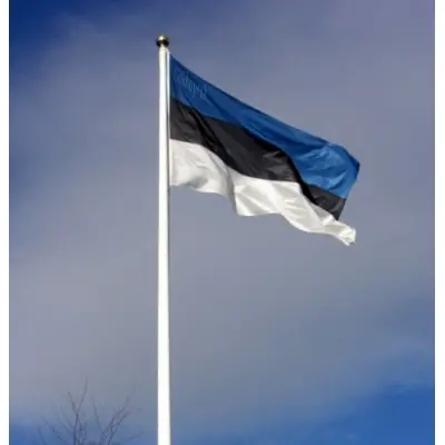 Estonya Devleti Gönder Bayrağı 100x150