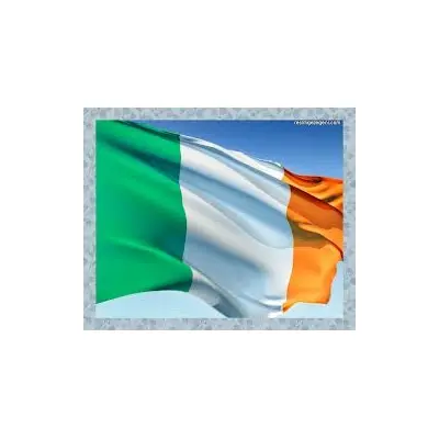 İrlanda Devleti Gönder Bayrağı 100x150