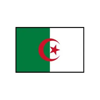 Cezayir Bayrağı (30x45 cm)