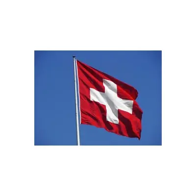 İsviçre Devleti Gönder Bayrağı 100x150 cm