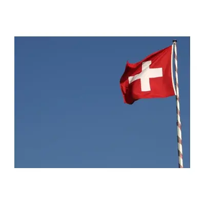 İsviçre Bayrağı (50x75 cm)