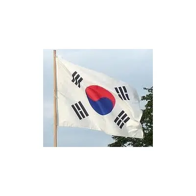Güney Kore Devleti Gönder Bayrağı 100x150
