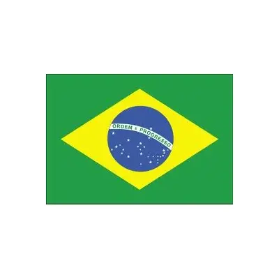Brezilya Bayrağı (50x75 cm)