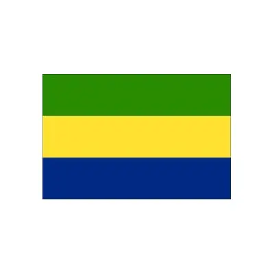 Gabon Devlet Bayrağı (50x75 cm)