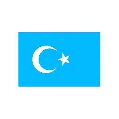 Doğu Türkistan Masa Bayrağı